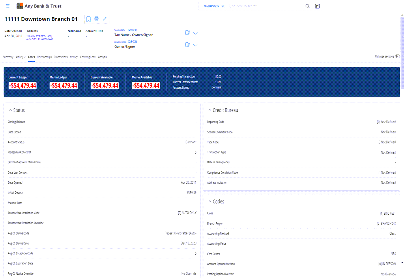 Account Dashboard with Date Opened, Address, Nickname, Account Title, Tax Name, Owner/Signature and the Account Codes page below.