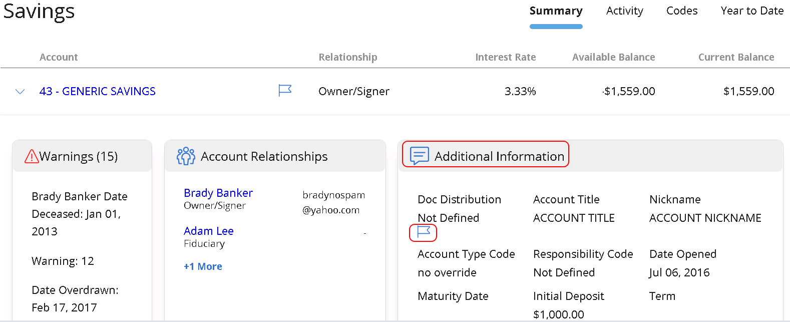 The documentation flag appears in Additional Information when you expand an account.