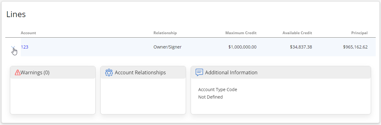 Lines table with loan account expanded to show Warnings, Account Relationships, and Additional Information