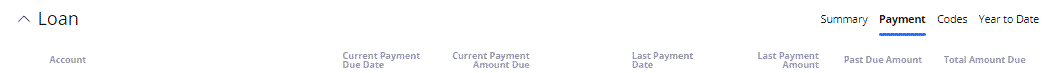 View Payment information within the Loan section.