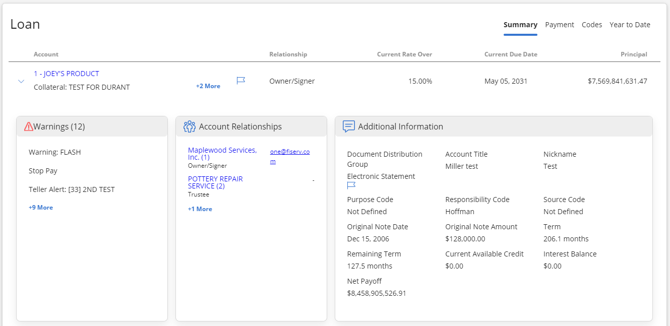 Loan table with loan account expanded to show Warnings, Account Relationships, and Additional Information