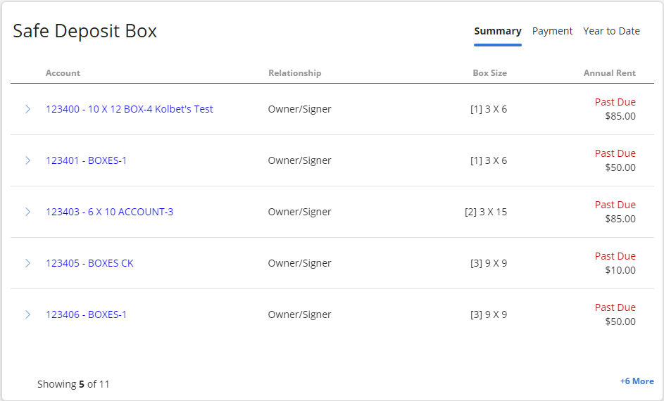 Safe Deposit Box tile with Box information and Summary, Payment, and Year to Date tabs.