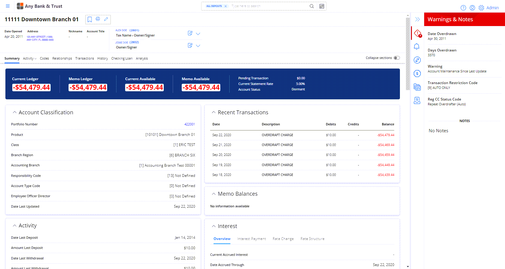 Account Summary page with Balances, Acitivity, Codes, Relationships, History, and DDA Loan page options.