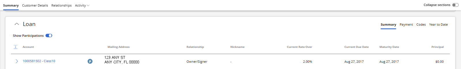 Summary page with a Participation loan.